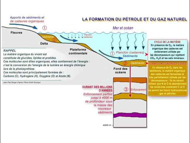 Formation Hydrocarbures