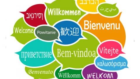 Enseignement des langues